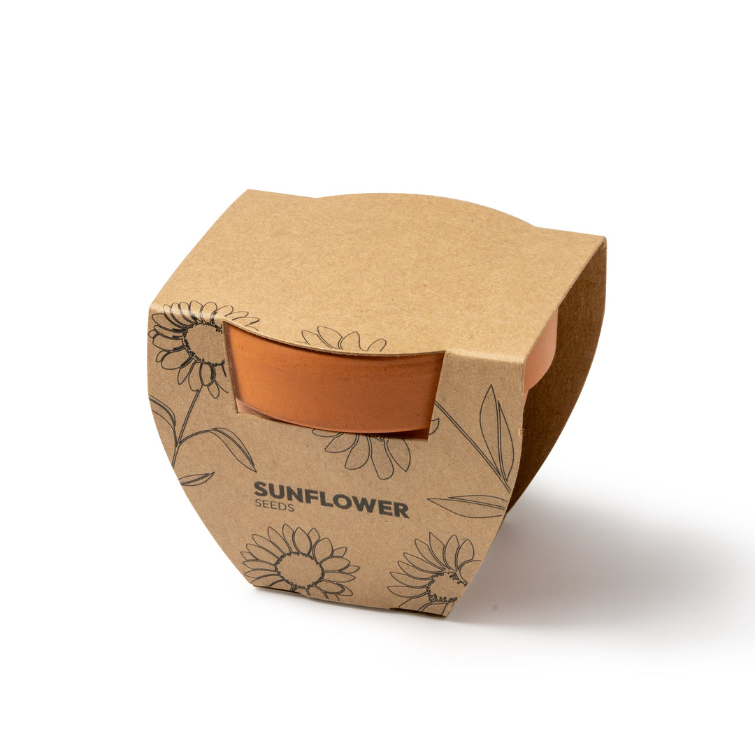 ZIROX Kit Plantation Tournesol - objet publicitaire Montpellier