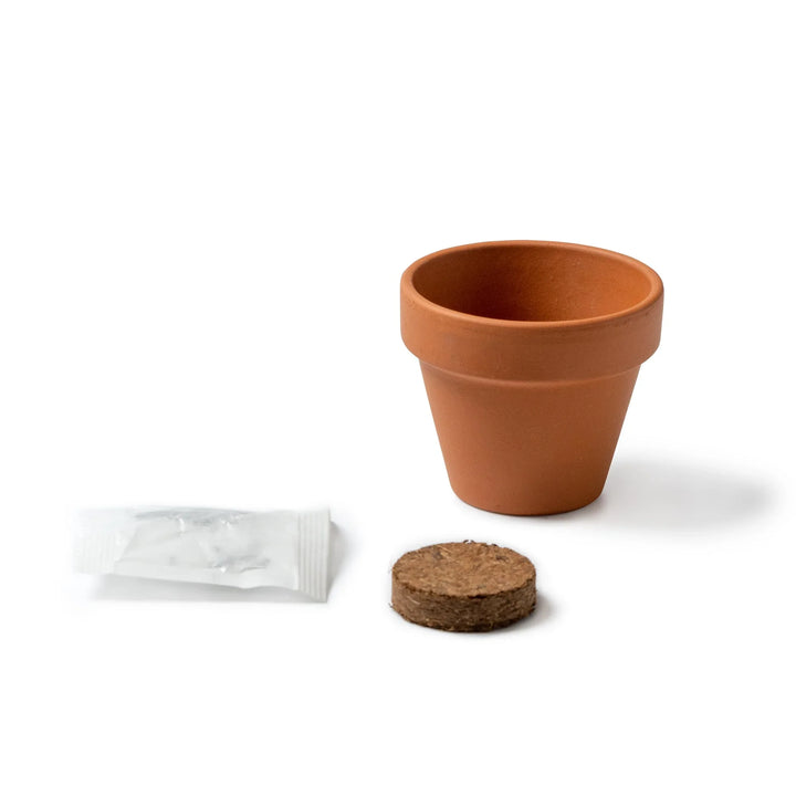 ZIROX Kit Plantation Tournesol - objet publicitaire Montpellier