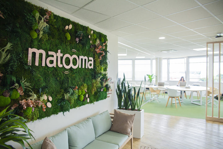 Logo Intérieur bois végétal hall d'accueil entreprise Montpellier